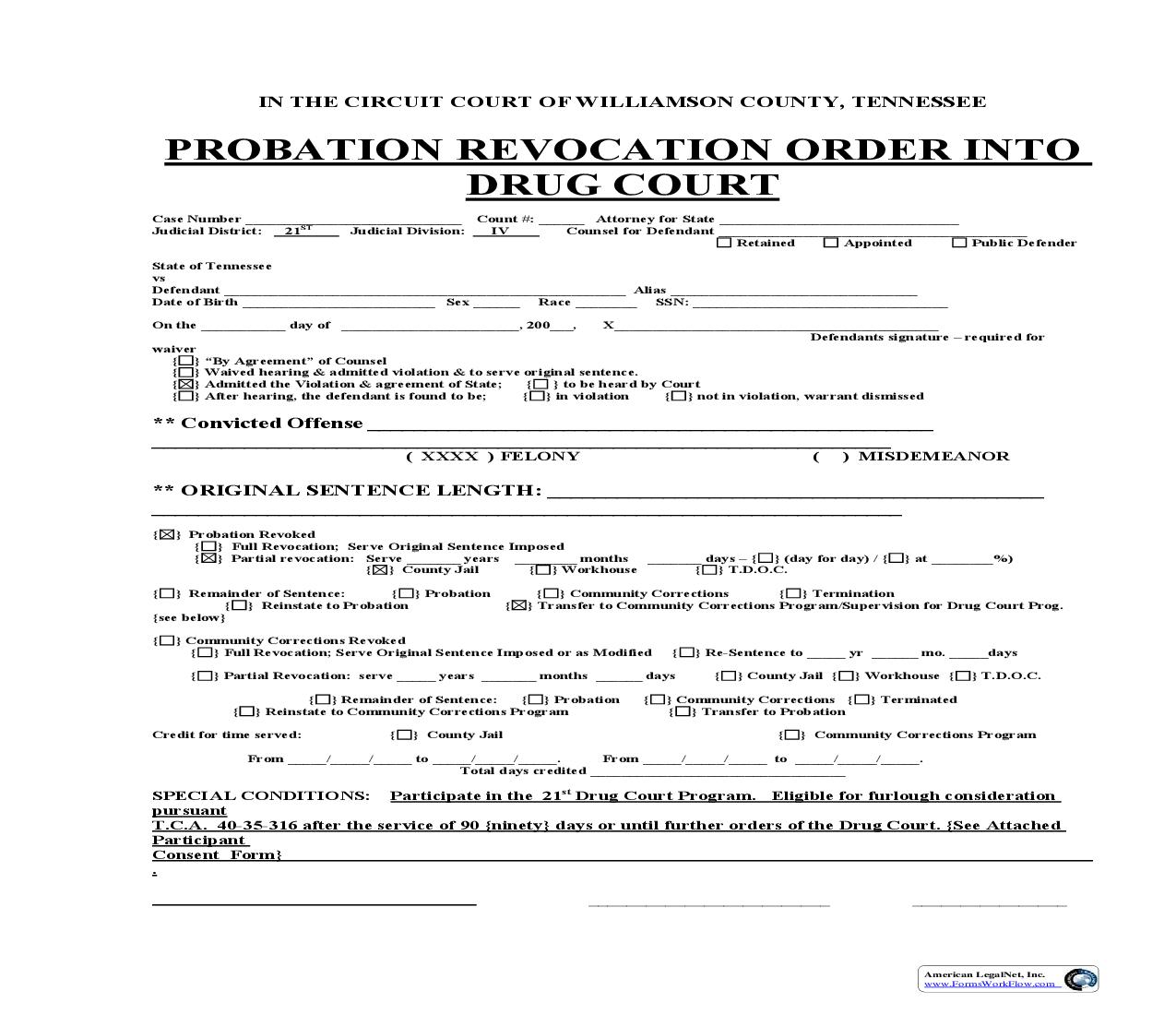 Revocation Order (New Drug Court) | Pdf Fpdf Doc Docx | Tennessee
