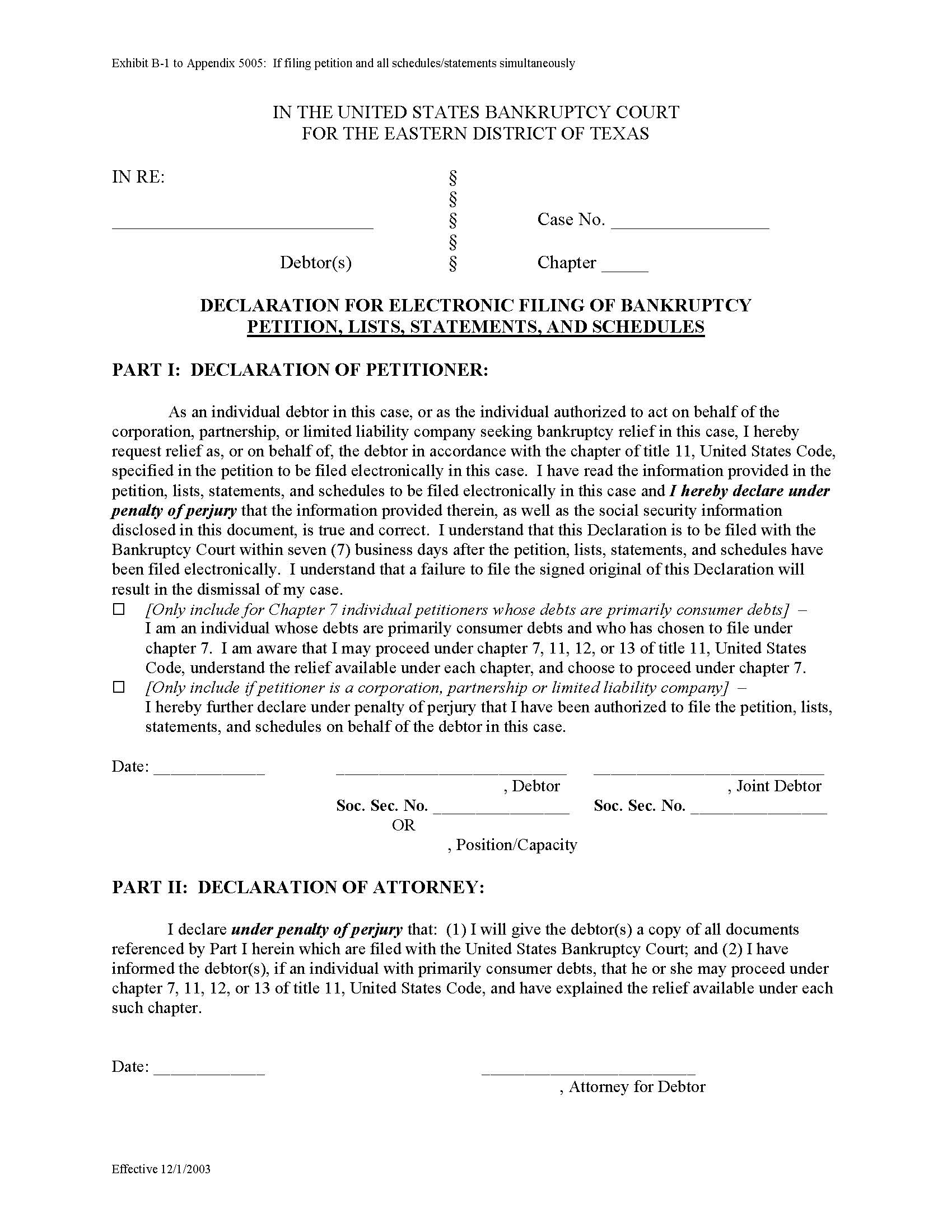 Declaration For Electronic Filing Of Bankruptcy Petition Lists Statements And Schedules | Pdf Fpdf Doc Docx | Texas