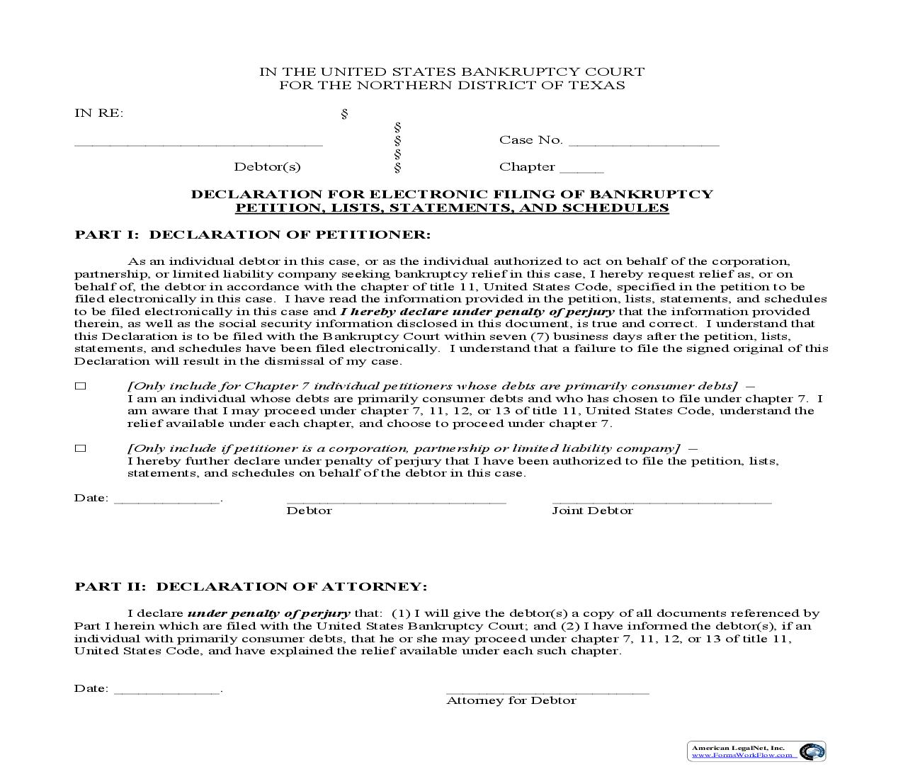Declaration Electronic Filing Of Bankruptcy Petiton Lists Statements And Schedules {BTXN 169} | Pdf Fpdf Doc Docx | Texas