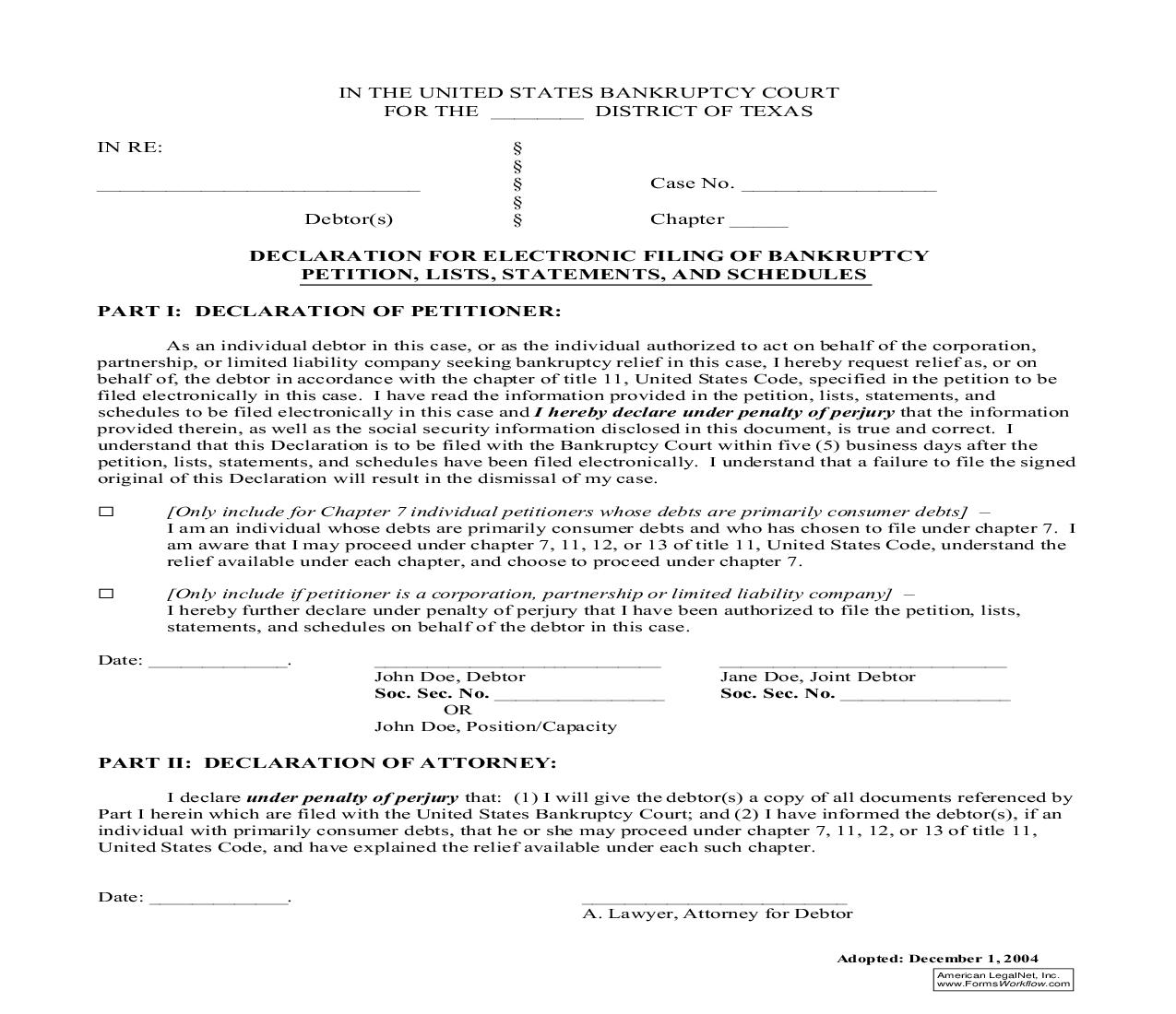 Declaration For Electronic Filing Of Petition, Lists, Statements And Schedules | Pdf Fpdf Doc Docx | Texas