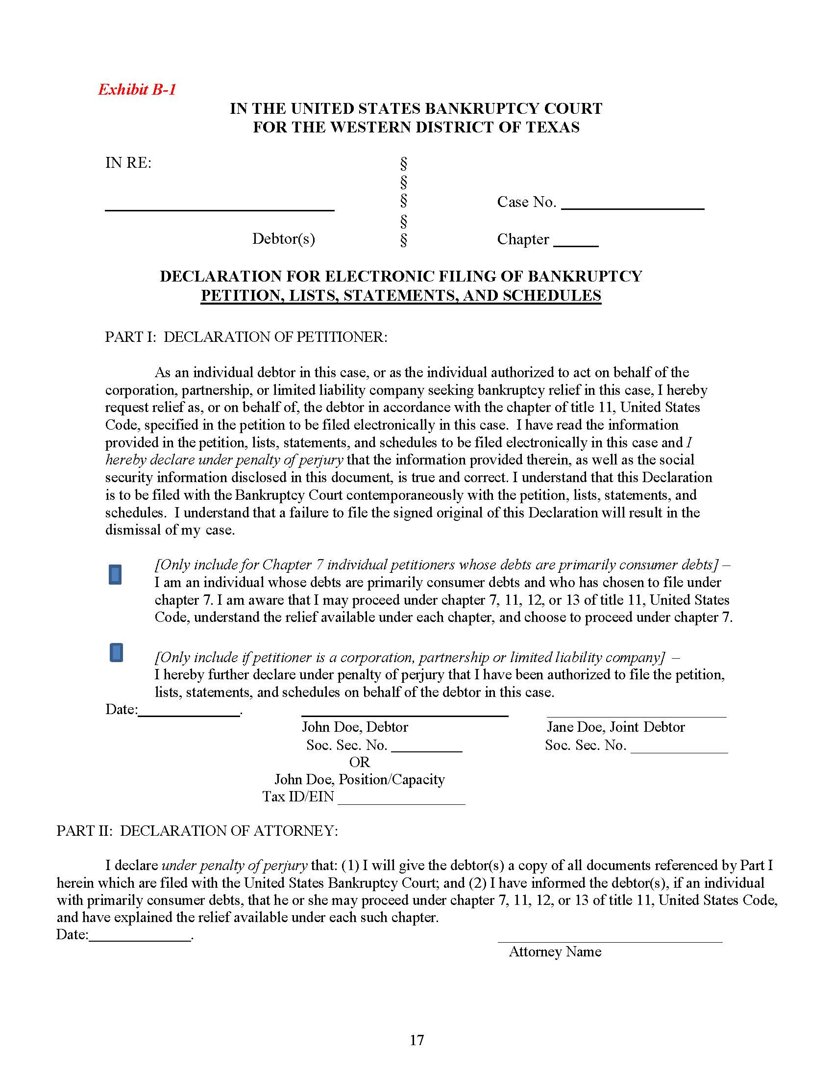 Declaration For Electronic Filing Of Bankruptcy Petition Lists Statements And Schedules | Pdf Fpdf Doc Docx | Texas