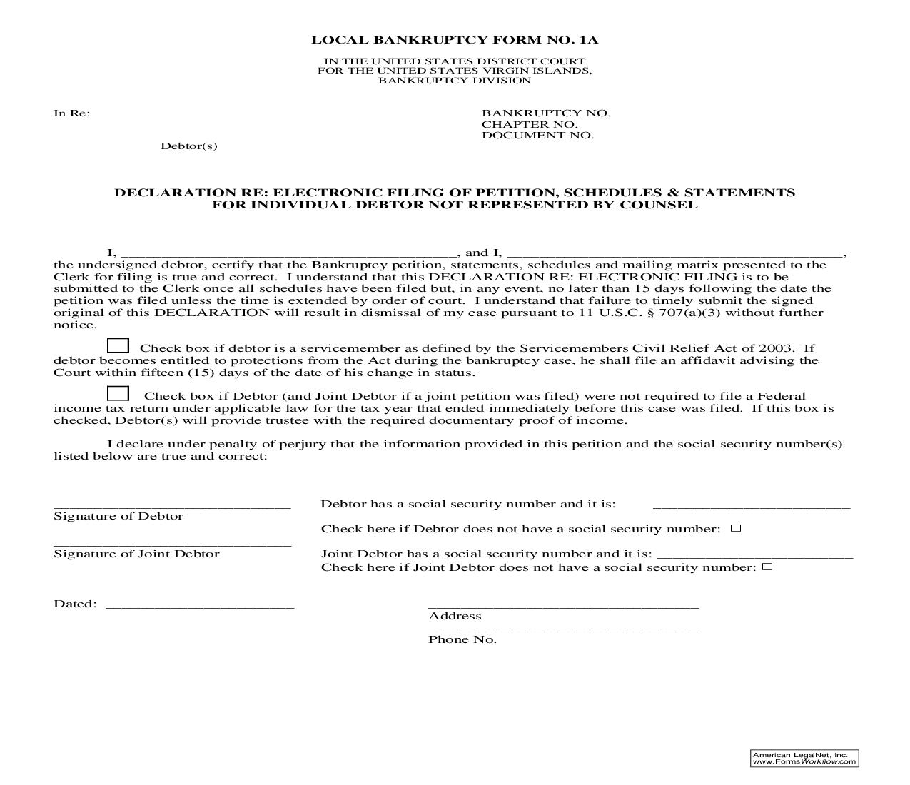 Declaration Re Electronic Filing For Individual Debtor Not Represented By Counsel {1A} | Pdf Fpdf Doc Docx | Virgin Islands