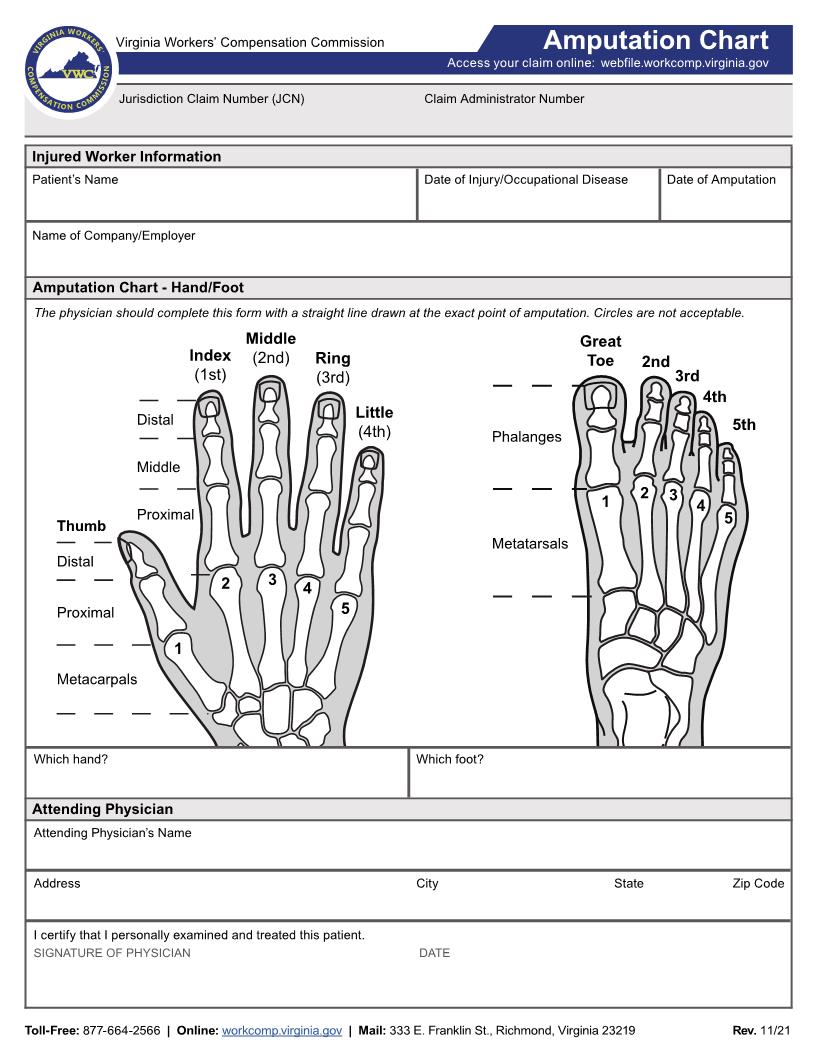 Amputation Chart | Pdf Fpdf Docx | Virginia